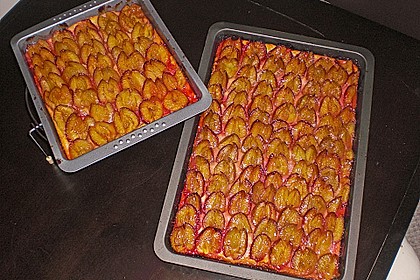 Pflaumenkuchen vom Blech 8