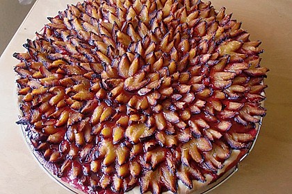 Pflaumenkuchen vom Blech 10