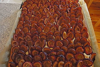 Pflaumenkuchen vom Blech 13