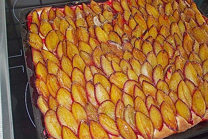 Pflaumenkuchen vom Blech 16