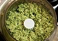 K&auml;se - Basilikum Pesto mit Spinatnudeln