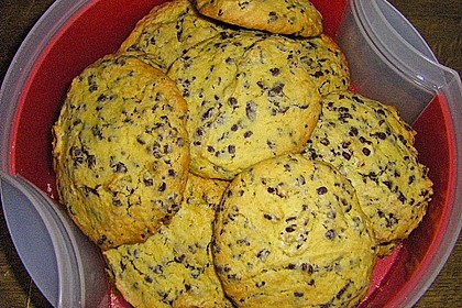 Chewy Chocolate Chip Cookies 40