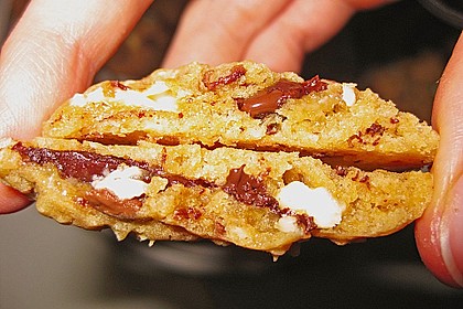 Chewy Chocolate Chip Cookies 15