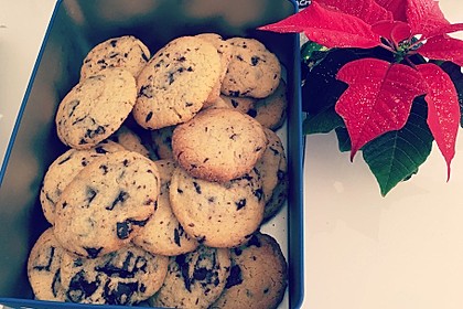Chewy Chocolate Chip Cookies 21