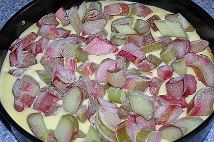 Rhabarber Blechkuchen 18