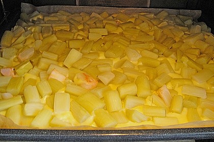 Rhabarber Blechkuchen 17