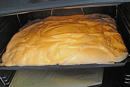 Rhabarber Blechkuchen 15