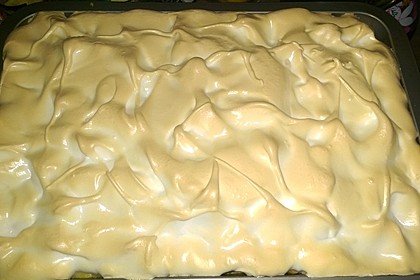 Rhabarber Blechkuchen 3
