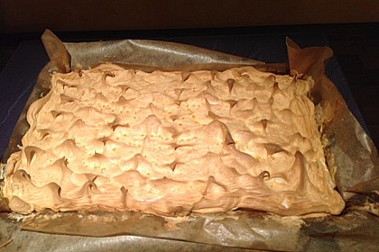 Rhabarber Blechkuchen 14