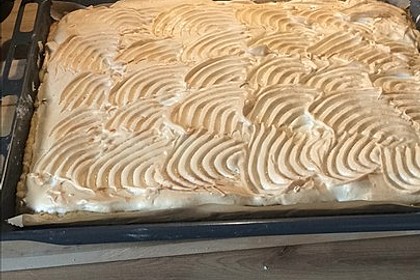 Rhabarber Blechkuchen 12