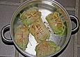 Chinakohlrouladen