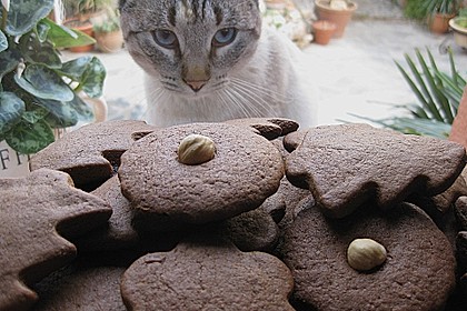 Omas Lebkuchen - ein sehr altes Rezept 12