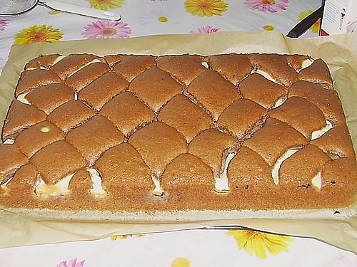 Topfengitterkuchen (Rezept mit Bild) von DorisF | Chefkoch.de