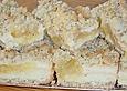Pudding - Apfel - Kuchen