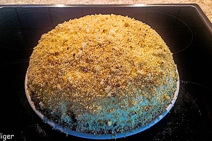 Snowball - Kuppel 19