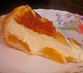 Puddingkuchen mit Aprikosen (Bild)