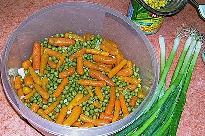 Sommer - Schichtsalat 7