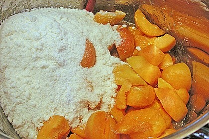 Aprikosenmarmelade 8
