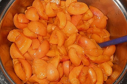 Aprikosenmarmelade 15