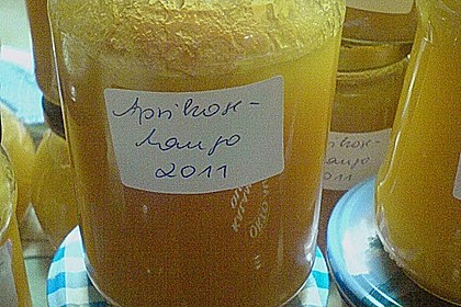 Aprikosenmarmelade 22