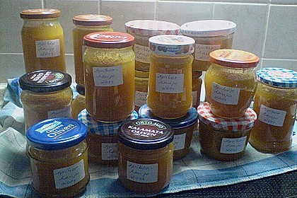 Aprikosenmarmelade 23