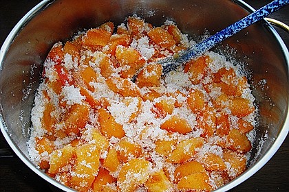 Aprikosenmarmelade 25