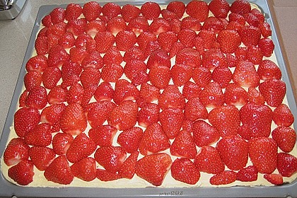 Erdbeer-Kuchen mit Vanillecreme 93