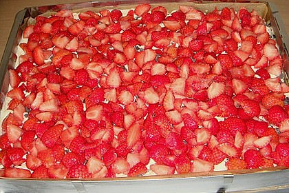 Erdbeer-Kuchen mit Vanillecreme 92