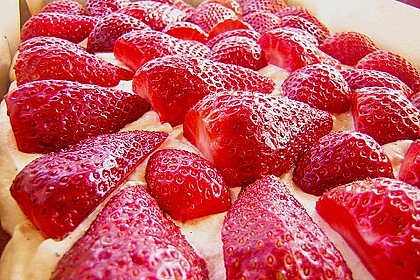 Erdbeer-Kuchen mit Vanillecreme 62