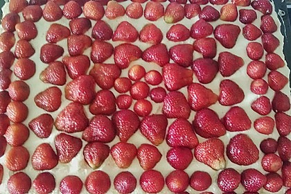 Erdbeer-Kuchen mit Vanillecreme 73