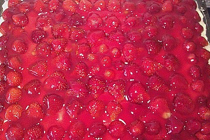 Erdbeer-Kuchen mit Vanillecreme 86