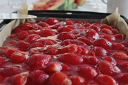 Erdbeer-Kuchen mit Vanillecreme 41