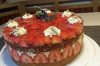 Erdbeer-Kuchen mit Vanillecreme 6