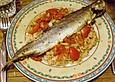 Mediterrane Forelle