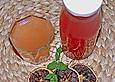 Blutorangensirup