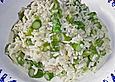 Spargelrisotto
