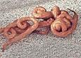 Churros