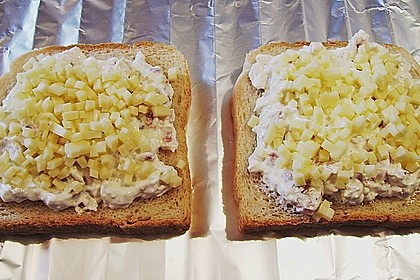 Flammkuchen - Toast 45