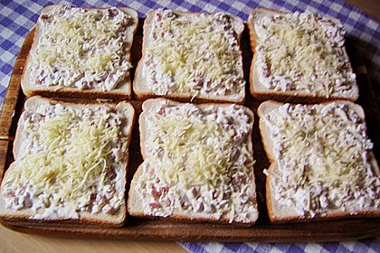 Flammkuchen - Toast 54