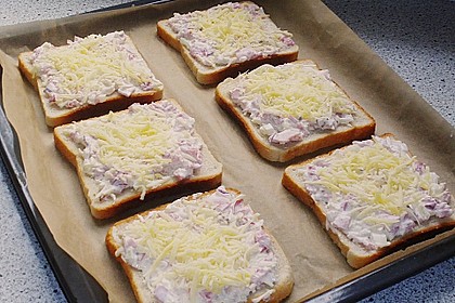 Flammkuchen - Toast 33