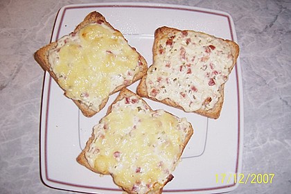 Flammkuchen - Toast 48