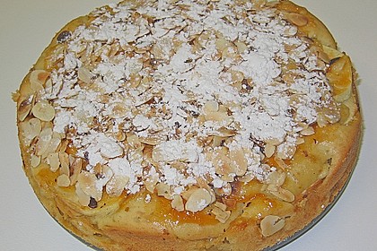 Apfel - Schichtkuchen 2