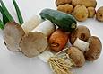 Zucchini - Pilz - Auflauf