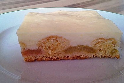 Rhabarberschnitten mit Vanille - Schmand - Guss 23