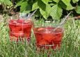 Erdbeer Campari Bowle