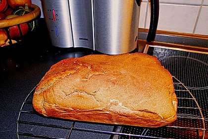 Schnelles Dinkel - Buchweizen - Brot 18
