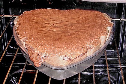 Extra - schokoladiger Schokoladenkuchen 4