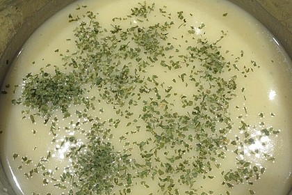 Zucchini - Creme - Suppe 17
