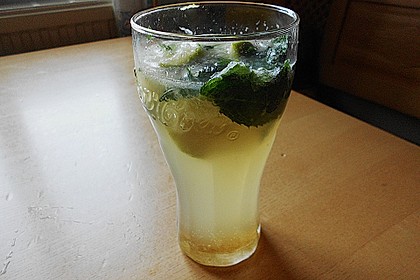 Mojito 5