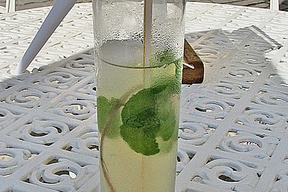Mojito 4
